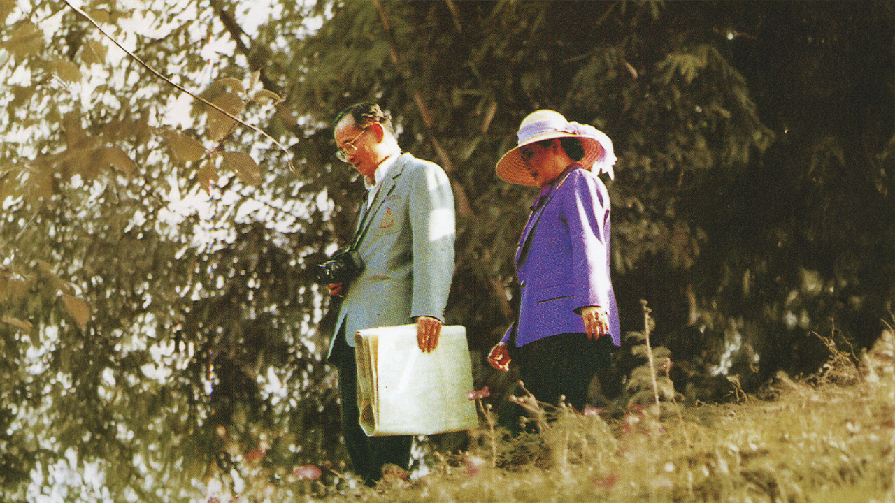 สารคดีเฉลิมพระเกียรติแม่ของแผ่นดิน ตอนที่ 12 โครงการป่ารักน้ำ